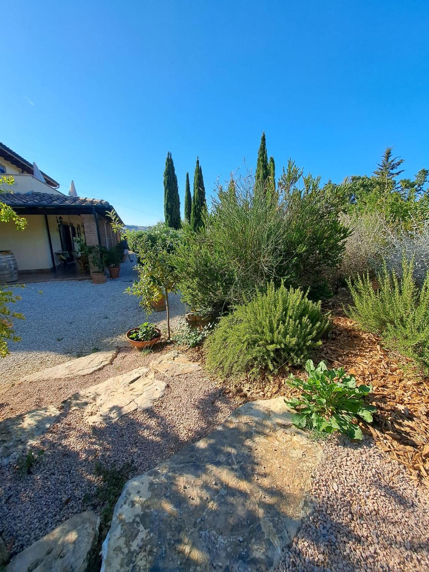 Casale Terre Rosse Bed & Breakfast Saturnia Bagian luar foto