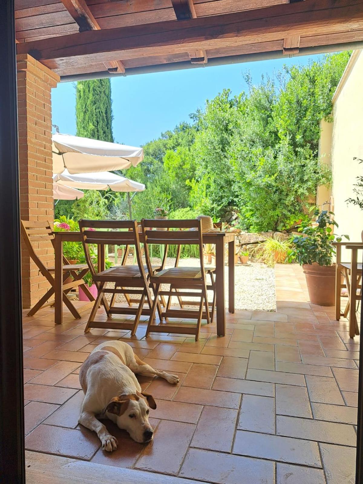 Casale Terre Rosse Bed & Breakfast Saturnia Bagian luar foto