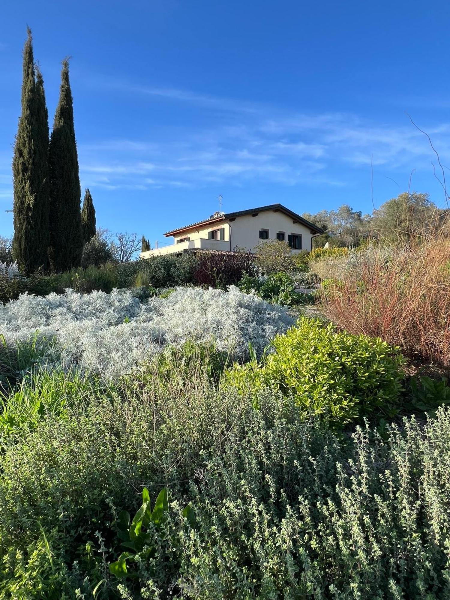 Casale Terre Rosse Bed & Breakfast Saturnia Bagian luar foto