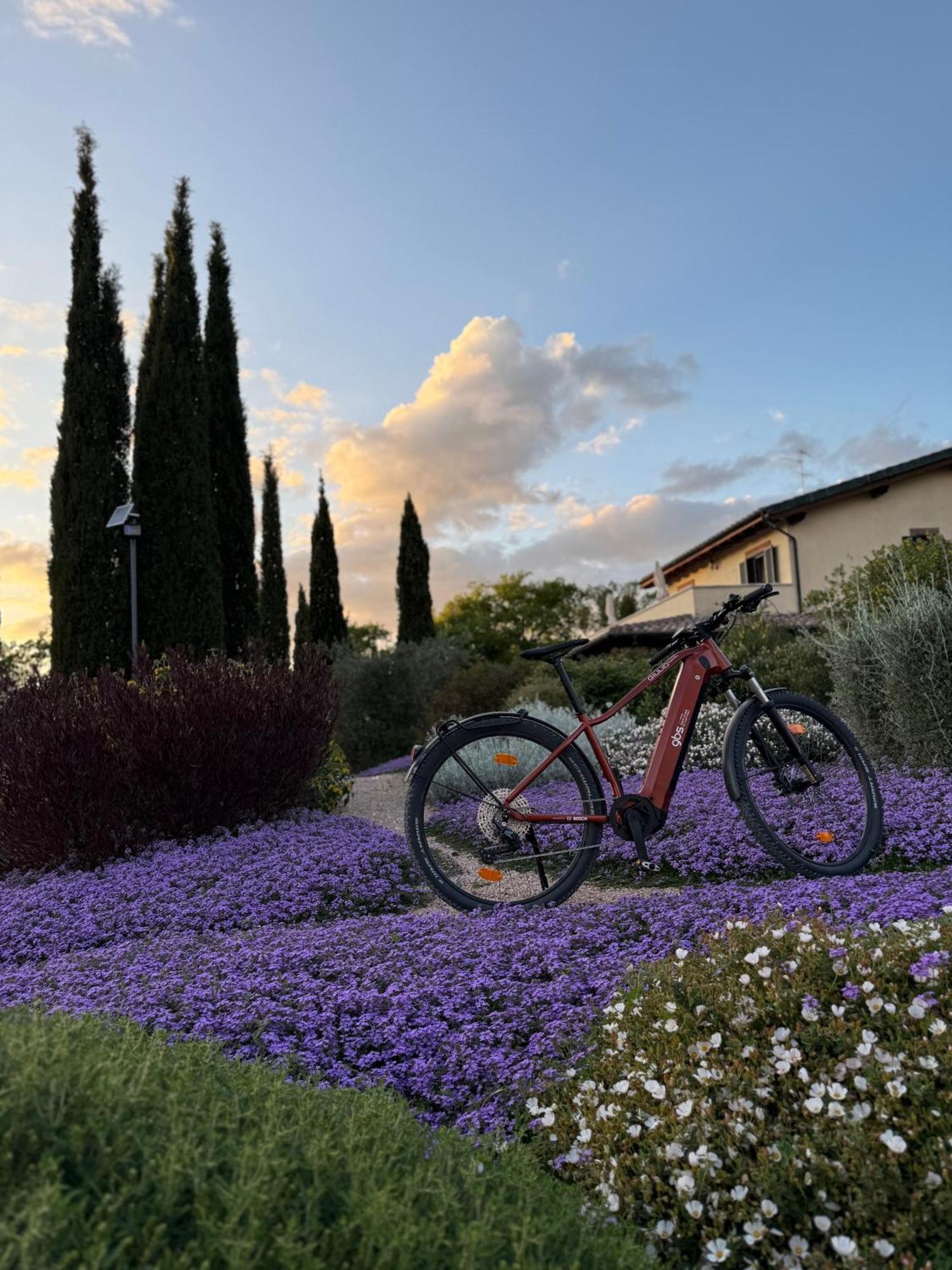 Casale Terre Rosse Bed & Breakfast Saturnia Bagian luar foto